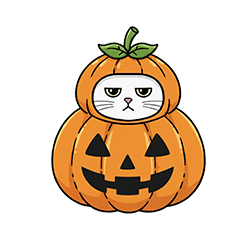 grumpy cat4: Scotish Fold