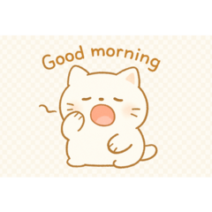 Cute cat daily greetings