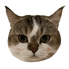 P'Krob Yhong NuPu Tootoo