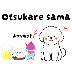 ビションフリーゼ　便利な英語の日常会話