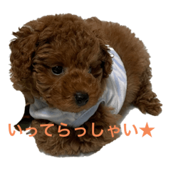 haruna_20251005101305