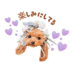 yunomama_20251005130140