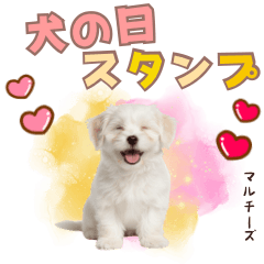 DOG GOOD  Sticker129
