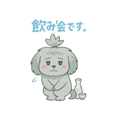 Toy-poo Serene no stamp2