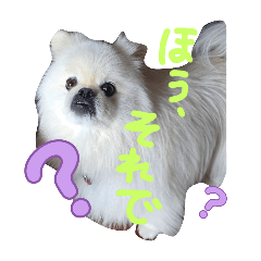 neene_20251005150408