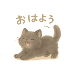 Yurufuwa black cat Cute Greetings