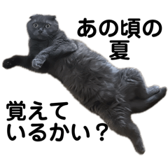 うーちゃろうまんのスタンプ2