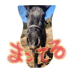 maimai_20251005195857