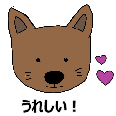 shiba ken 02