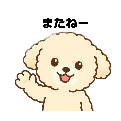 Daily Conversations of a Toy Poodle