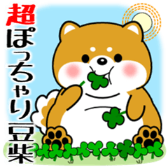 飛び出す！超ぽっちゃり豆柴の挨拶