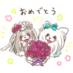 チワシーみるく♡チワプーバニラ