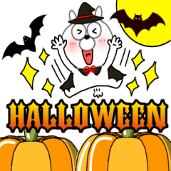 Usable every day Usami91