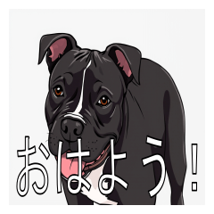 Lots of American Staffordshire Terriers