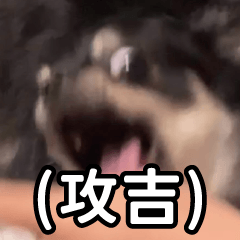 吉子呀＿口頭禪篇