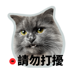 小丸子の日常生活2