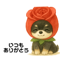 Flower Chihuahua Stickers (Kota)