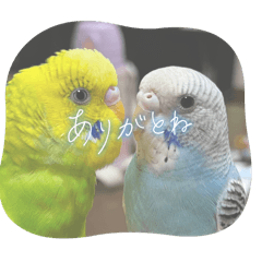 yumi_20251006153141