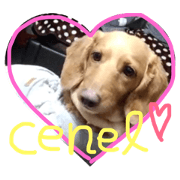 cenel5
