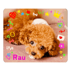 JINKO_20251006175553