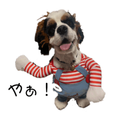 SHIDA_20251006202500