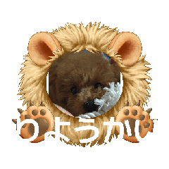 Ayu_20251006215059