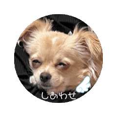 CanCam_20251007031045