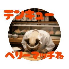 an_20251007063251