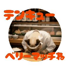 お酒とネコ好きな日常会話　石家番外編3