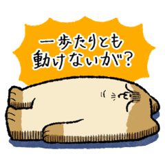 ノープロブレムなわたし