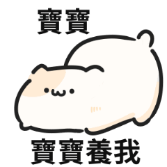 可愛貓貓♡找寶寶