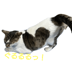 tAkumI_20251006215409