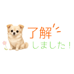 Mini Chihuahua Gentle Words, Big Hear