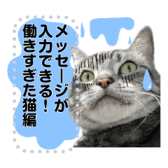 メッセージ入力可 働きすぎた猫編