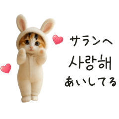 Korean language of a kimono cat