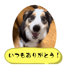 Non_20251006192111
