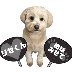 HARUNA_20251006215148