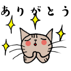 家のにゃこにゃこ