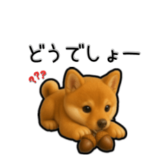 Shiba Puppy Reactions.