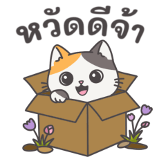 Capuri-The Calico Cat: Daily Life