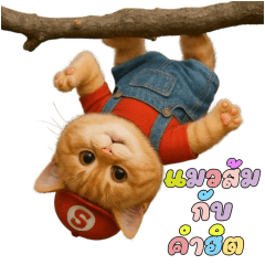 แมวส้มกับคำฮิตตัวตึง