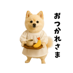 Pomeranian no Mochi, Daily Talk
