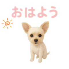 MELON_20251006213237