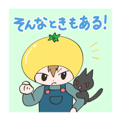 Yellow tomato and cat