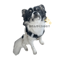 misaki_20251007095020