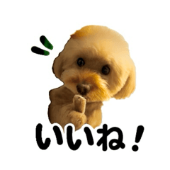 Sherry_20251007074745