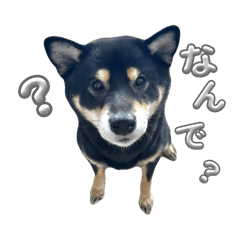 amane._20251007082446