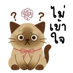 Princess Kitty Mood