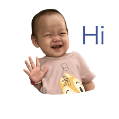 小兔的表情包