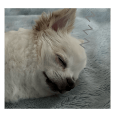 yurina_20251006220624